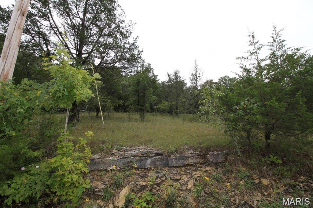 Great buildable lot in beautiful RAINTREE PLANTATION! Raintree has approx. 750-800 homes on it's 825 acres, with approx. 3168 lots. North of Hillsboro, MO on State Rd B, & only 30 minutes from greater St. Louis. You'll enjoy GATED access to 4 pristine lakes; the largest of which features power boating, water skiing, fishing, a long white sand beach, large pavilion, boat ramp, and designated short term campsites with electric below the dam, which is near the beach. AMENITIES: YES!! BUILDING PERMITS, PAVED ROADS, UTILITIES, WIFI available. Raintree Golf Course is an 18 hole course that intertwines most of the subdivision; membership is required. The Homeowners Association offers fun activities year round. Be on vacation every day; plenty of space to play and opportunities to be able to relax and have some family fun. Don't miss the possibility for a very special home-site. The Country Club dues are separate from the POA, and that fee is $265.30 for the 2024 year, all owners pay; Call the Country club for exact fees and information about what the country club has to offer. In Platted Subdivision. This particular lot is tucked away in the back of the subdivision and a short distance from the smaller 3 lakes. There are very few opportunities to own lots in the Raintree subdivision with lot size greater than an acre! This lot possesses 2.7 acres, providing you with ample privacy.