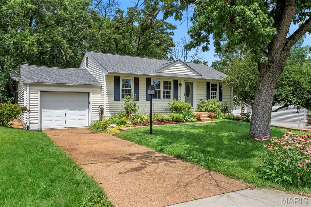 Archer Park - Residential