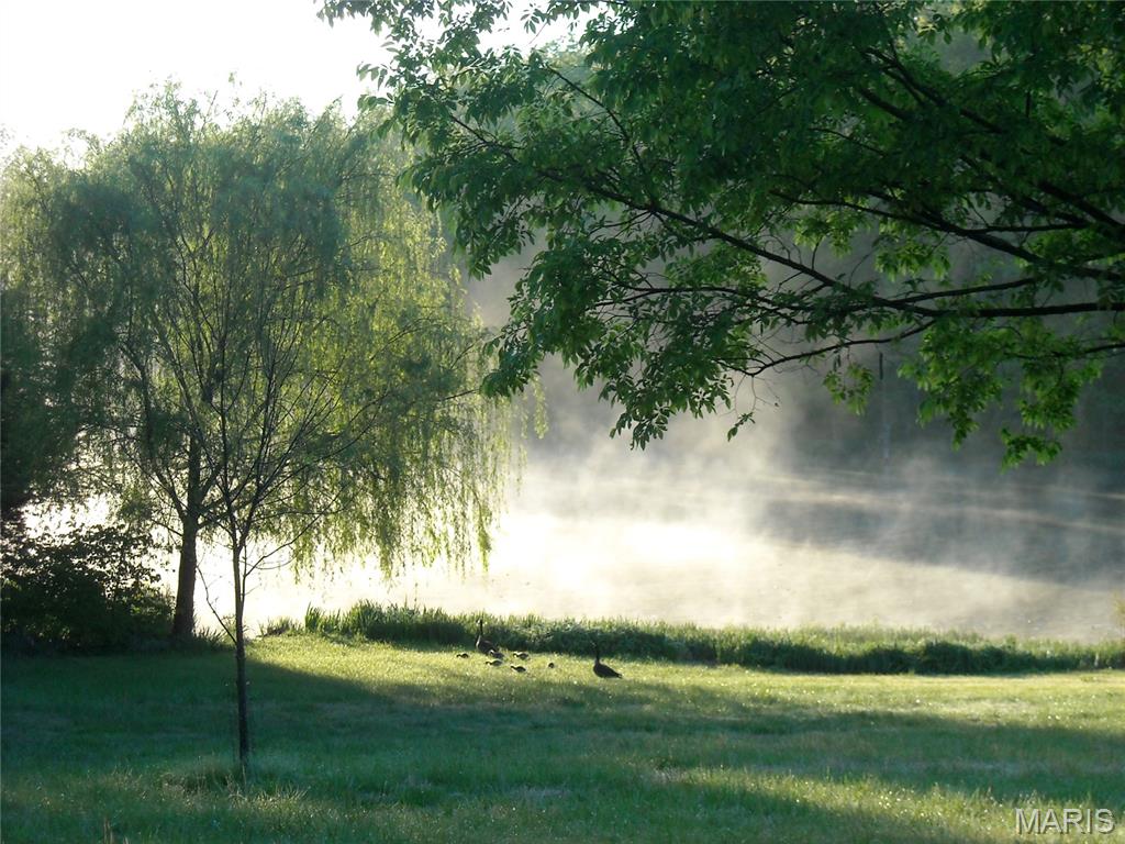 Helens Acres - Farm