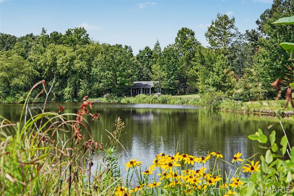 Helens Acres - Farm