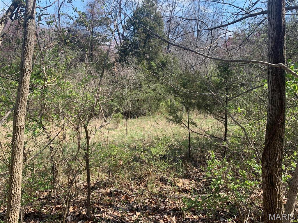 Rare 3.38 Acre Wooded Building Homesite in Wildwood, Missouri! Dicover a unique Opportunity to Build your Custom Home on 3+ Wooded Acres in one of Glencoe's most desireable areas! This Private tree lined parcel offers road frontage allowing you to design a homesite oriented toward the quiet roadwhile benefittintg from convienent access to main thouroghfares.  The lot is naturally buffered by mature trees and is surrounded by a neighboring 12 acre estate, creating a sense of space, privacy, and long-term protection from dense developement.  With generous acreage, there is ample room to set the home back from the road, incorporate landscaing or berms and create a peaceful retreat that lives much larger than its footprint!  Ideal for Buyers seeking custom-build opportunity! This properrty offers Flexibilityand Independence with well and septic, No HOA Restrictions, and the freedom to design a residence that fits your lifestyle.  Comparable acerage with this level of privacy and accessibility is invreasingly rare in Wildwood! Whether you're envisioning a Private Retreat, or Long Term Investment, this Parcel Delivers Excetional Value, Location, and Potential!  Bring Your Builder and Your Vision - Opportunities like this Do Not come Along Often!  This Land is just minutes from Schools, Shopping and Major Thoroughfares!  10 minutes from the Chesterfield Airport, and 25 minutes from Lambert Airport!! Existing Subdivision Dismantled, NO FEES! NO Restrictions (Beside Municipal/County), Build The Dream Home You Want! Call for Viewing Today!