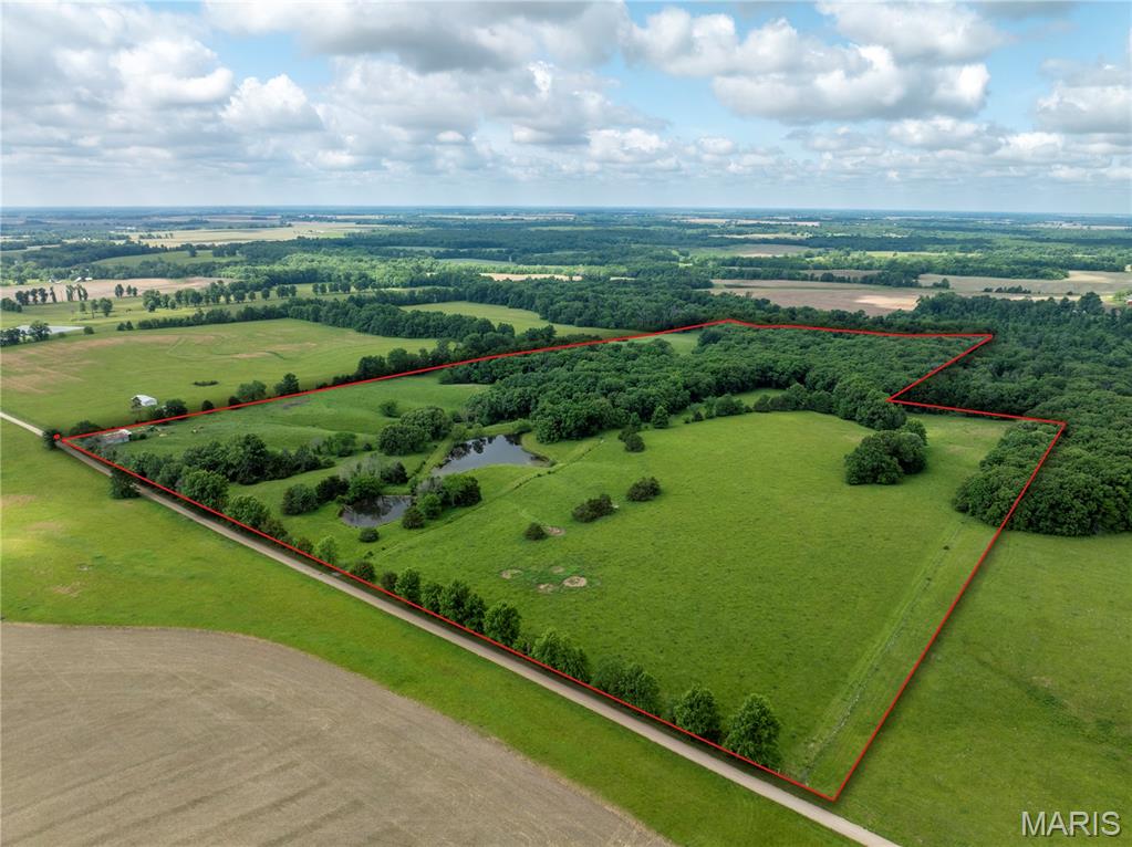 N - Farm