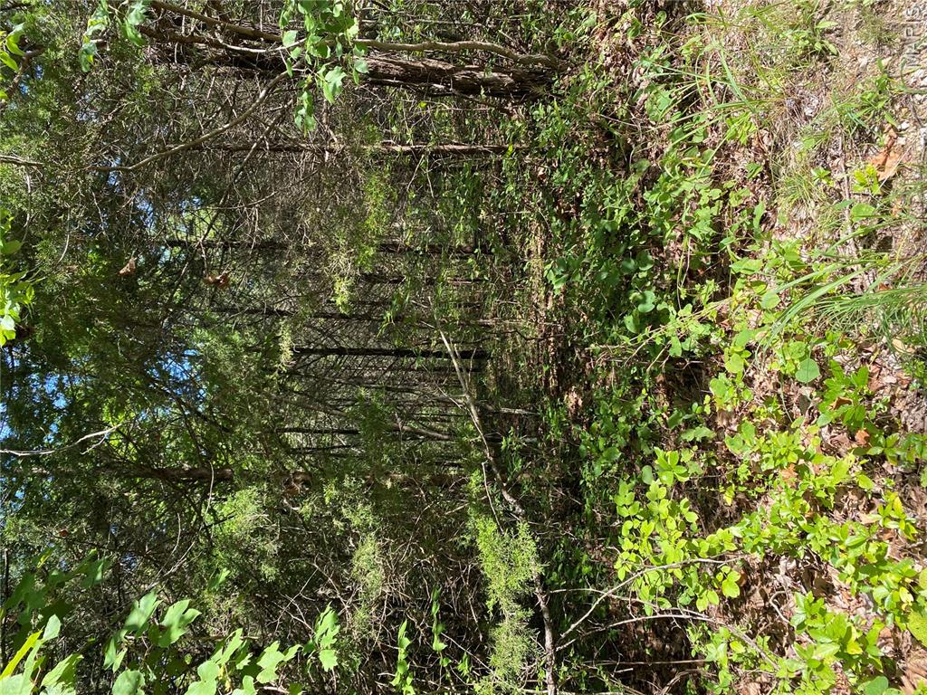 NEW PRICE!  72.55+/- acres of rolling and level wooded property in natural state with some open areas. Current zoning is residential LR-2. Road frontage is located along Highway 67 with no cleared entry to the property. Build your dream home or use for recreational purpose.