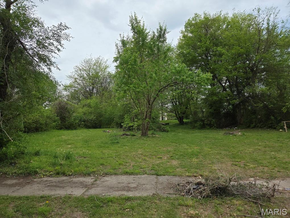 Vacant Lot. Excellent opportunity for builders and investors. Don't miss out!!
