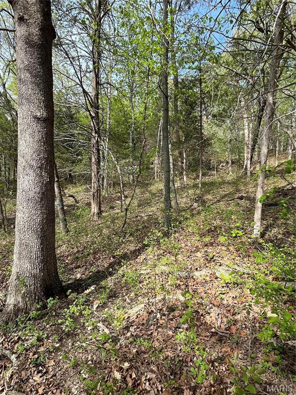 Red Oaks Valley - Land