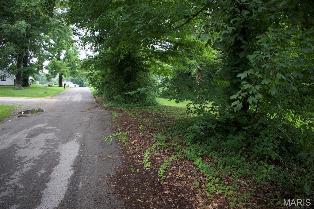 Chaffee Town Of Outlot - Land