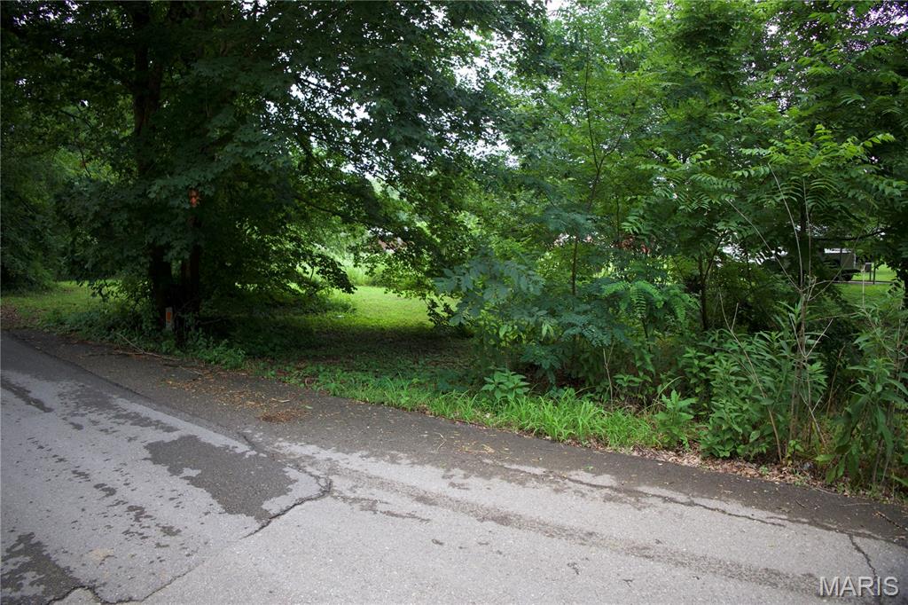 Build Your Next Chapter on Ponderosa Road in Chaffee!

Looking for the perfect spot to build? Check out this 0.34 acre lot on Ponderosa Road in Chaffee, MO 63740!

One of the things about Chaffee is that it still feels like a true small town. It's a community where people know their neighbors, support local businesses, and take pride in where they live. Chaffee continues to grow while holding onto that hometown values that makes it such a great place to call home, or move to your next home!

Whether you're ready to build your dream home now or you're looking for a property to invest in for the future, this lot gives you a great opportunity to become part of a community that's always moving forward. You'll enjoy being just 20 minutes from Cape Girardeau, 15 minutes from a growing airport to take you anywhere! All access to anywhere while still getting the slower pace and friendly feel that so many people are looking for.

If you've been thinking about building, this could be the place to make it happen.