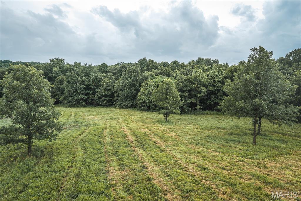 Discover the perfect blend of privacy, recreation, and investment potential on this beautiful 14.3+/- acre tract with frontage along Highway 19 between Steelville and Salem. This lot is one out of five(lot 4), that can be subdivided from a full 90+/- acres. Other possible lots are as follows:
Lot 1: 16.9 +/- acres (marketable timber on the highway frontage with some open areas towards the back of the parcel.)
Lot 2: 18.6 +/- acres (marketable timber throughout, with some open areas. Rectangular lot with highway frontage.)
Lot 3: 15.9 +/- acres (marketable timber throughout, with some open areas. Rectangular lot with highway frontage.)
Lot 5: 24.2+/- acres (marketable timber throughout, ample highway frontage)

All five lots have ample highway frontage, as well as power access through a power line that runs through each lot.

Lot 4 has ample open ground which offers a rare opportunity to build your dream home, weekend getaway, or hunting retreat. Lot 4 also boasts multiple pond building sites. Lot 4 has gated driveway from Highway 19, providing convenient access to multiple potential building sites. Lots 1, 2, 3, 5, can have a driveway easily put in from Highway 19. Outdoor enthusiasts will appreciate being just 15 minutes from public access to the Meramec River, for floating, fishing, and kayaking, with abundant public hunting in Mark Twain National Forrest and Indian Trail Conservation Area. Whether you're looking for a peaceful homesite, a recreational escape, or your own hunting property, this tract checks all the boxes. Wildlife is abundant, and the wooded setting offers seclusion.