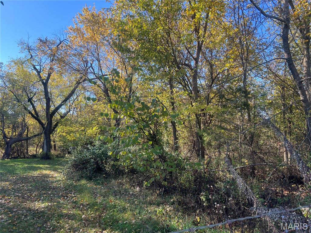 lebanon acreage - Land