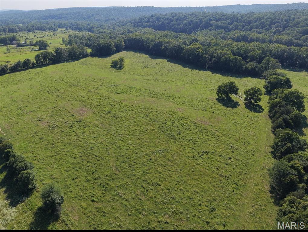 Discover the possibilities with this exceptional 32.5 acre m/l property with direct frontage on "12 mile creek" offering endless opportunities for farming, livestock ,recreation, or your dream homesite. Abundant wildlife makes this property a hunter's paradise or a peaceful retreat for nature enthusiasts. Water is available for livestock, making it well-suited for agricultural operations or hobby farming. With easy highway access you'll enjoy the convenience of country living without sacrificing accessibility. Whether you're looking to expand your farming operation, establish a recreational getaway, build your forever home, or invest in land with outstanding potential, this 32.5 acre property is ready to bring your vision to life. Don't miss this rare opportunity to own a versatile piece of land with unlimited potential!