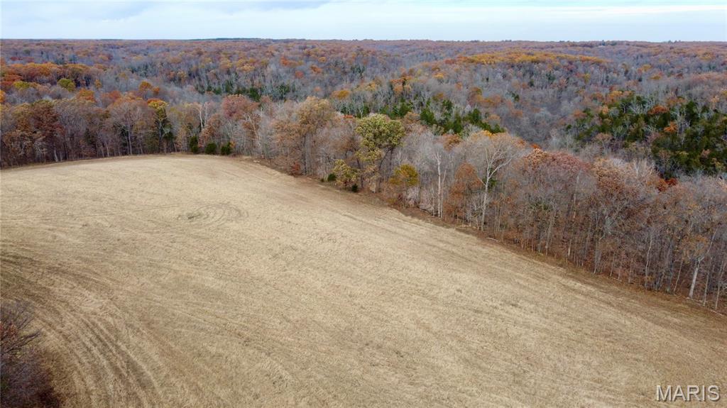 Tract 6

Multiple tracts available ranging from 22-40 acres. You can buy one or combine multiple tracts! Finding the right property to build your dream home has many factors with location being a top one. The privacy of this property gets you away for the serenity you dream of but still within 30 minutes to Washington, Wentzville or Warrenton, MO. 

The location of Polston Farms is incredible but the views are hard to beat as well. With a newly constructed road onto the farm that leads you to the 12 lots of many different sizes. Each tract has its own unique attributes but they all have one thing in common, seclusion! Each lot has electric and are build ready if you decide to do so. Minimum restrictions along with a road agreement. Don't miss out on your chance to own one of these tracts to build or just to getaway!
