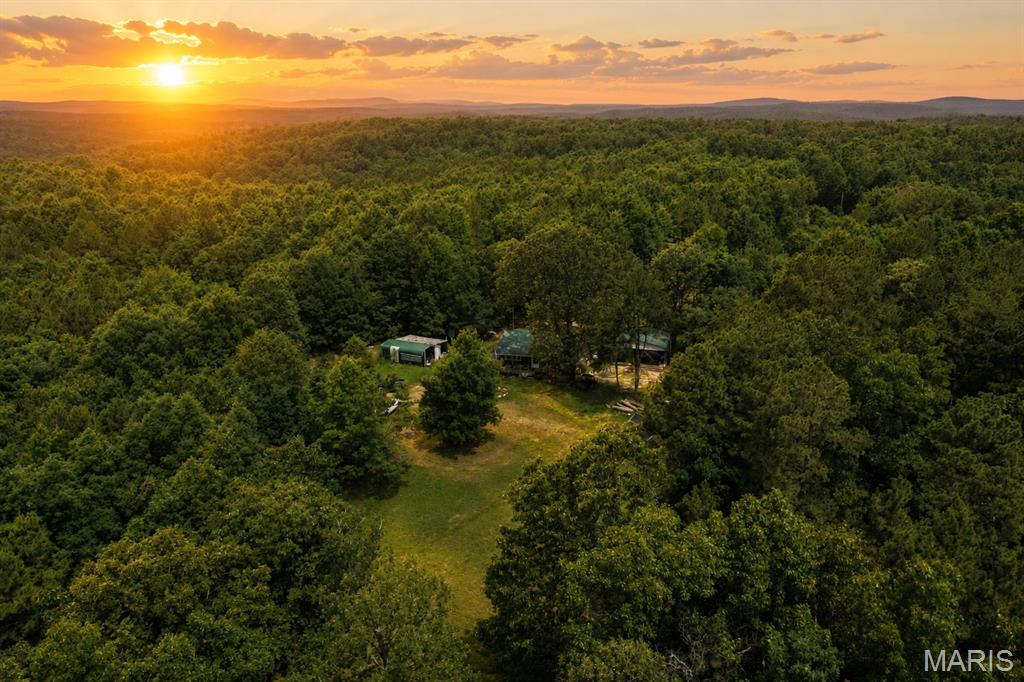 This private and secluded, excellent hunting property is located just south of Fredericktown, off County Road 325. The two-bedroom, one-bathroom home has been used as a full-time residence, but would also serve as a perfect hunting and weekend getaway cabin. The self-sufficient home has two 1,500-gallon water tanks for rain collection and electric with solar power backup. The property has a gentle topography with several ideal food plot locations. This area is known for its abundant amount of wildlife, and if this is not enough acreage to get the job done on a mature whitetail or turkey, Mark Twain National Forest is nearby. Clearwater Lake, Lake Wappapello, Black River, Saint Francis River, and Current River are also close by, adding to the recreational value this area has to offer. If you are looking for a secluded hunting paradise for a weekend retreat or full-time residence, then this is a must-see! Call today to schedule your own private tour.