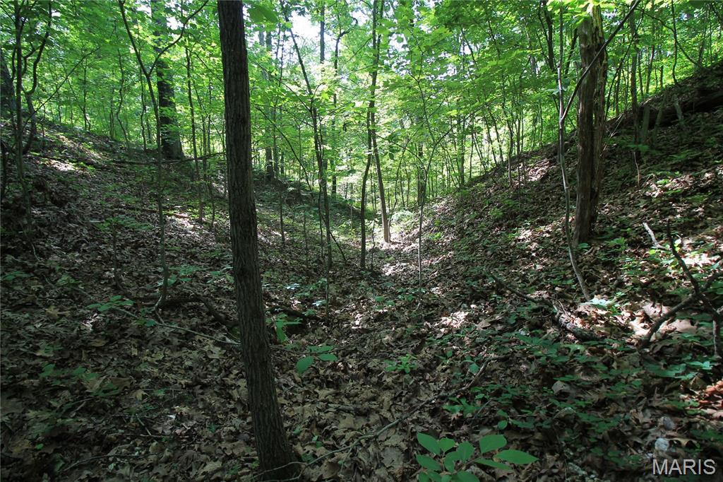 Gibson Park - Land