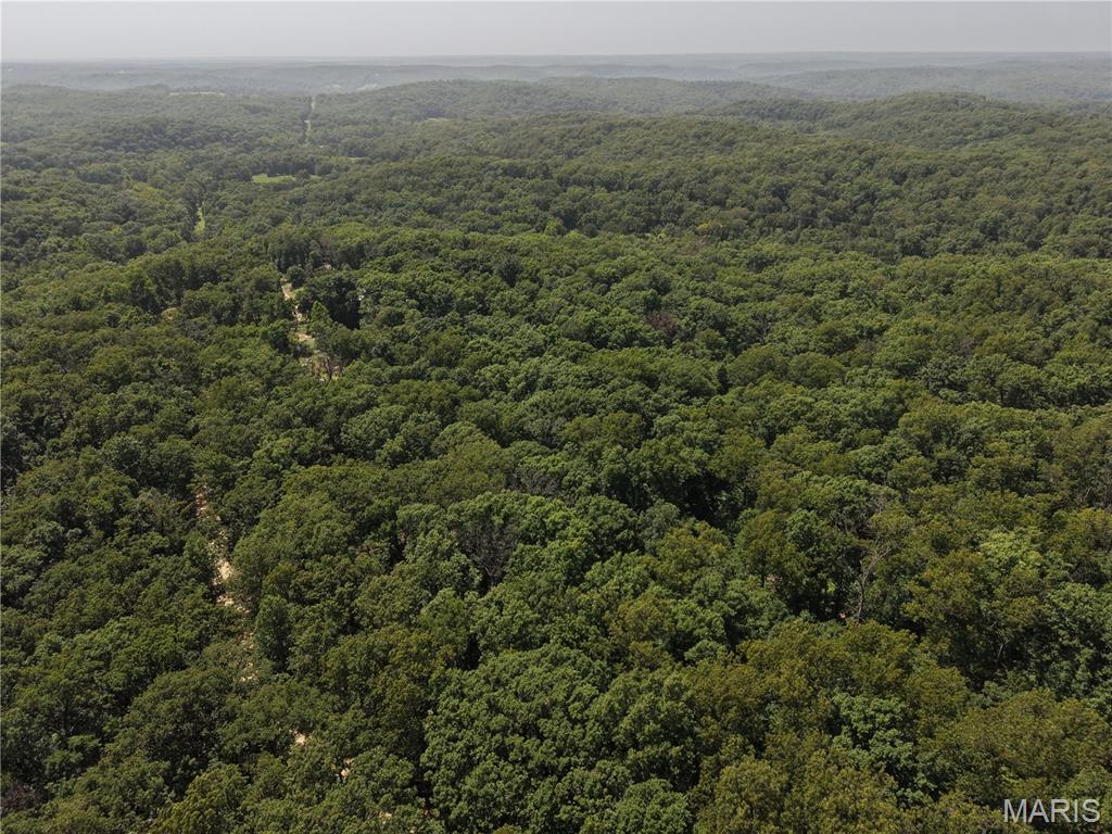 Gibson Park - Land