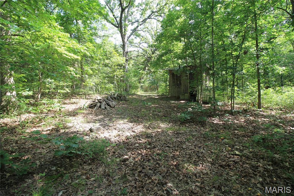 Gibson Park - Land