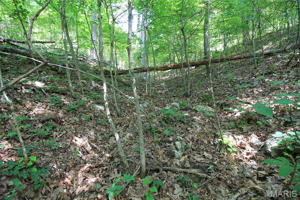 Gibson Park - Land