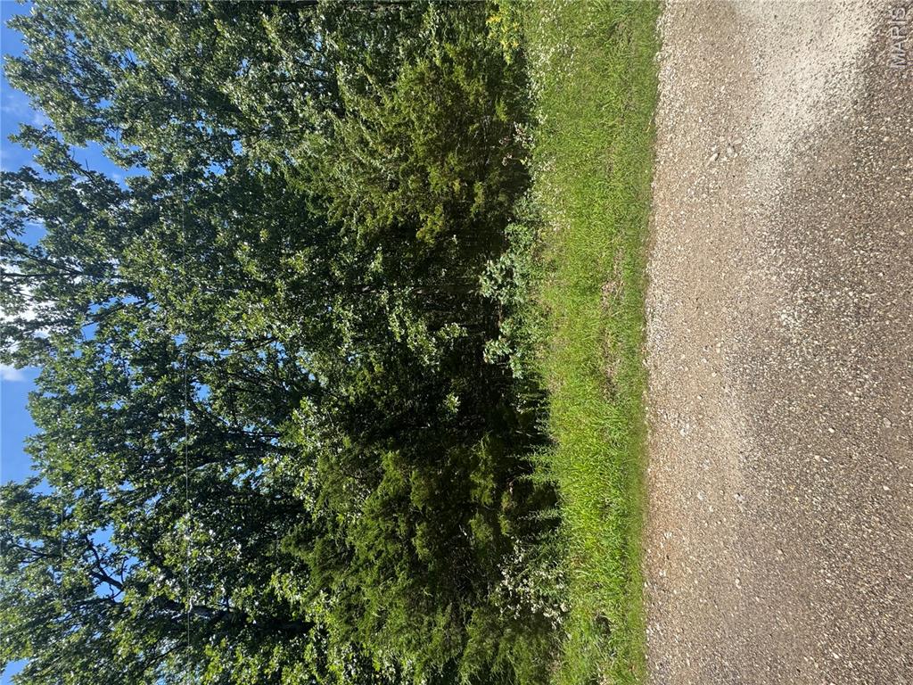 Lake St Clair - Land
