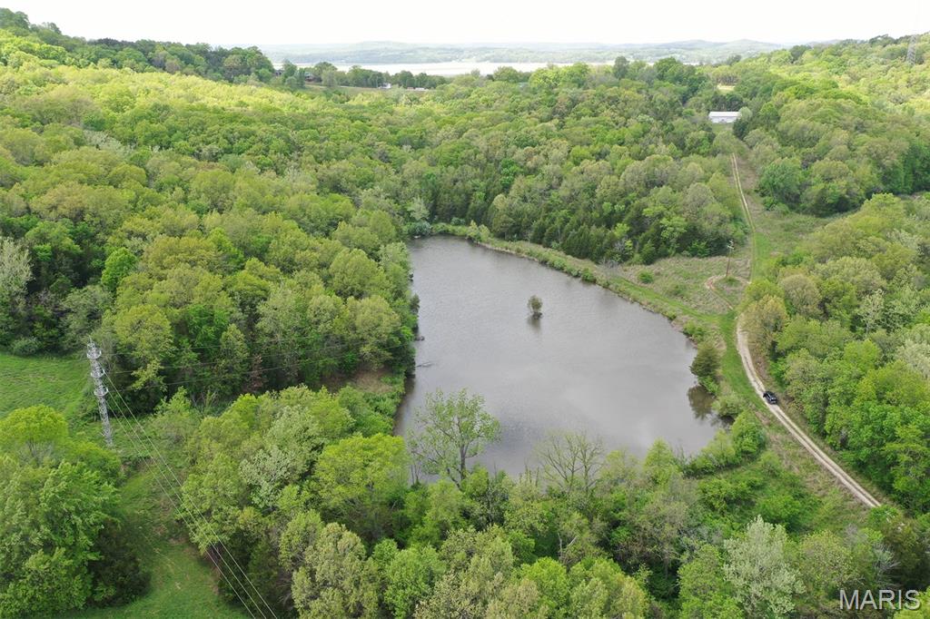 Set on 41.78 acres at the edge of Hermann, this beautiful wooded property offers a rare blend of natural scenery and development potential. A 3.6-acre stocked lake sits at the heart of the land, creating a peaceful setting surrounded by mature trees, native plants, and abundant wildlife. Deer are a daily sight, often seen moving along established trails and gathering at the water’s edge. Positioned right at the city limits, the property is easily accessible with a platted city street leading directly to its entrance. An electric easement is already in place, adding convenience for future plans. Whether you’re envisioning a thoughtfully designed housing development or a private lakefront escape to build your dream home, this property provides the flexibility to bring your vision to life. For many years, this acreage has been part of a larger family-held parcel, and now presents an opportunity for a new owner to shape its future. With lenient restrictions available upon request, there’s room for creativity while maintaining the natural character of the land. A unique opportunity to own a sizable tract just outside of town—offering privacy, natural beauty, and the potential to create something special in one of Missouri’s most charming communities. Address Shown is NOT actual address. Do not use GPS.  Follow directions given by agent.
