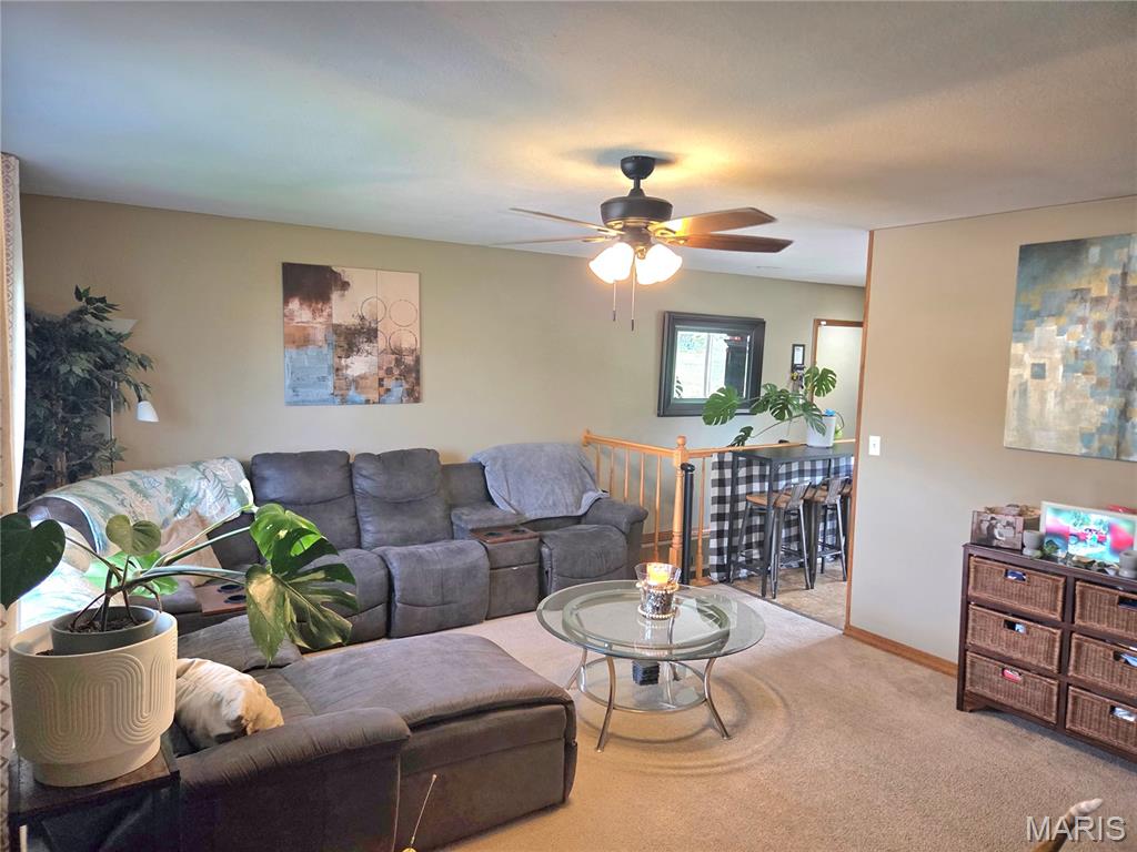 Melrose - Residential