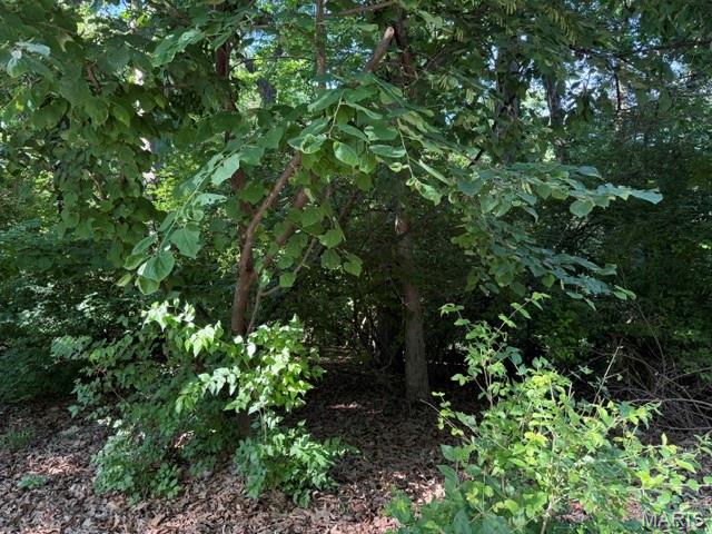 This lot description is a picture of a large vacant residential parcel in a relatively affluent Ballwin neighborhood, with low flood risk and a very long ownership history, but additional zoning and site information would be needed to determine its true development potential. This is a wooded, sloping lot.