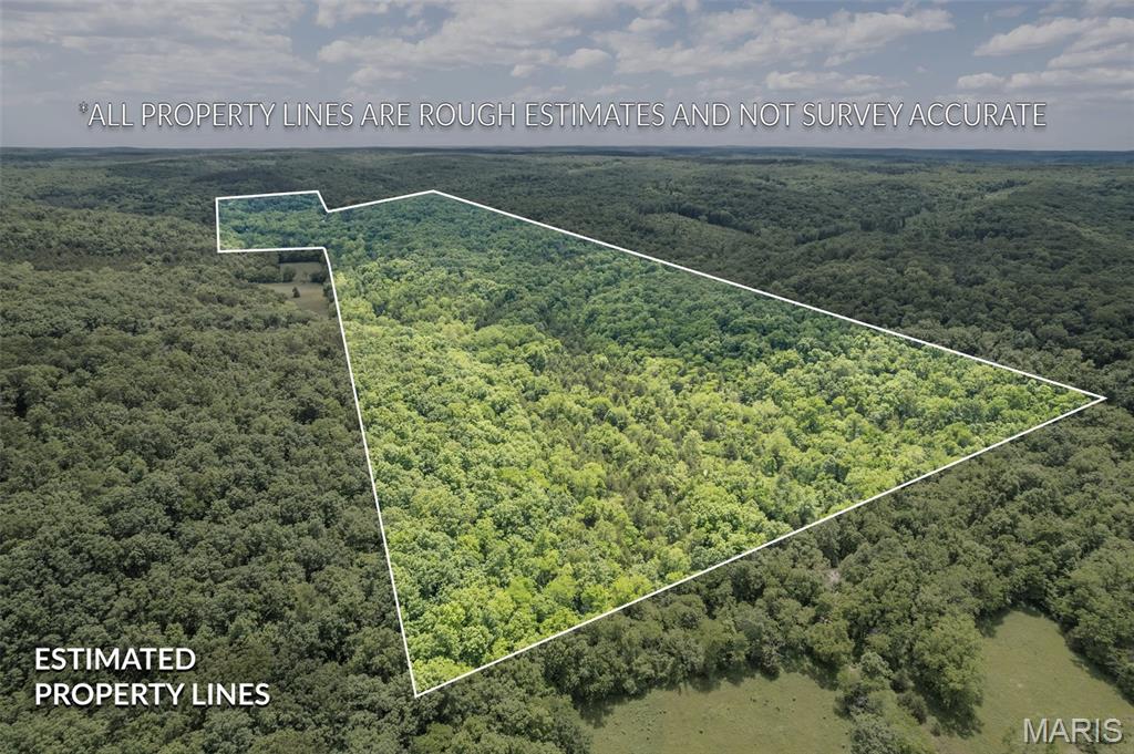 This 148 +/- acres is waiting for you to come make it yours! Wildlife abounds here! Backs to Mark Twain National Forest! The hunting here is good! This is great recreational property waiting for you! In it's day this farm had beautiful pastures- you can bring back to life! There is a spring on the property-- and lots of creek frontage as well- there is a  habitable home on the property at no value to the land sale- make it a hunting cabin or make it home- 3 bedroom 2 bath mobile home on a full basement-- Access to this property is through an private property and you MUST have an appointment with an agent to see.