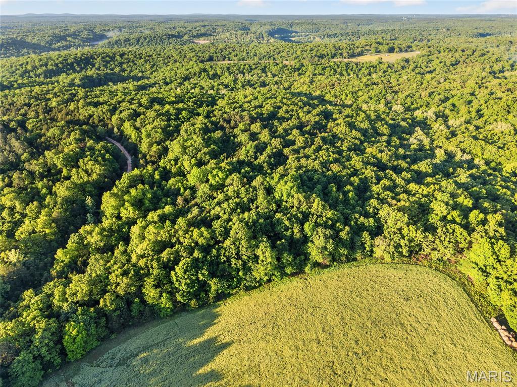 Step into tremendous possibilities on this 9 +/- acre tract located off a quiet, private county road in Blackwell, Missouri. This Washington County gem has been recently surveyed, ensuring exact acreage, accuracy, and clearly marked property boundaries. If you are searching for an exceptional blend of recreational freedom and rural living, this property delivers. The land features a gently sloping landscape for your recreational getaway, dream home, or weekend hunting cabin. Blanketed in beautiful mixed timber, this tract provides natural privacy and quality cover for whitetail deer or wild turkey. A wet-weather creek winds along the back boundary, serving as a natural draw for local wildlife.

This property has abundant wild game sign and is full of character and diversity. Whether you are looking to hunt, explore the outdoors, or homestead, this ground is a fantastic opportunity to call your own. Outdoor enthusiasts will love the proximity to regional recreation, with Saint Francois State Park, the Big River, and multiple surrounding lakes for fishing and other outdoor activities just minutes away.

Additionally, the seller owns adjoining parcels that may be made available for purchase in the future.

Property Features
9 +/- surveyed acres in Blackwell, MO
Recent survey was completed for exact acreage verification and clear boundaries
Minutes from recreation at Saint Francois State Park, the Big River, and multiple local lakes
Secluded and tucked away quietly off a private county road
Established mixed timber stands
Quality bedding and cover for wildlife
Several natural and man-made watering holes for wild game
Gently sloping terrain offering a build site or cabin location
Wet-weather creek wandering along the back of the property
Highly capable hunting ground with abundant wildlife
Scenic Washington & Saint Francois counties surrounding
1 hour 10 minutes to Saint Louis