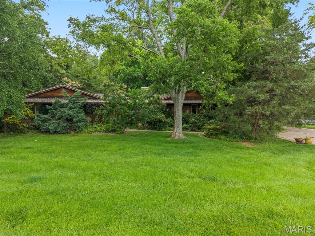 Welcome to your mid-century dream home — a one-of-a-kind residence designed by a noted St. Louis architect as his own family home, where no detail was overlooked. Built in 1969 and lovingly maintained by a single owner ever since, this home is a rare find: the major systems are updated and ready for its next chapter, while its original mid-century character remains beautifully intact — offering a buyer the exciting opportunity to add their own modern touch to a home with truly special bones.
Thoughtfully designed in the classic modern tradition, which blurs the line between indoors and out, there are nature views from virtually every window - taking full advantage of the home's expansive wooded lot. Approach the home and you'll immediately notice its distinctive architectural pedigree — cedar shake roofing, charming bubble lights, and bubble glass windows accenting the side-entry garage. Step through the gated courtyard and follow a meandering path through an Asian-inspired garden to reach the front door — an arrival sequence unlike anything else on the market.
Inside, over 2,700 square feet unfolds with a gracious flow purpose-built for entertaining. Original black slate tile anchors the generous foyer, setting the tone for the home's authentic mid-century character. The heart of the home connects effortlessly to a living room with a wet bar and patio access, formal dining room, eat-in kitchen, powder room, and abundant storage — all oriented around the showstopper: a dramatic great room featuring soaring vaulted ceilings, skylights that flood the space with natural light, a textbook mid-century fireplace, and custom sliding doors opening to patio that stretches accross the back of the house overlooking the wooded grounds.

The private bedroom wing offers a serene primary suite with an ensuite bath, walk-in closet, secondary closet, and direct patio access. Three additional bedrooms, a full bath, and an oversized laundry room complete the main level.
The walkout lower level was finished as a complete secondary living area, ideal for guests, multi-generational living, or an in-law suite — featuring a living space, kitchenette, two large bedrooms (one with a walk-in closet), and a full bath. A large workshop with sink and its own walkout access, plus generous storage, round out the lower level.
Additional highlights: Newer dual HVAC systems and water heater for peace of mind. An oversized garage featuring art glass in the garage door. A new pergola draped in wisteria that puts on a spectacular show each spring. And perhaps best of all — a lot that backs to private common ground with a creek accessible only from this property, giving you a secluded natural retreat right in your backyard.

Original. Authentic. Irreplaceable — and ready for your vision.
