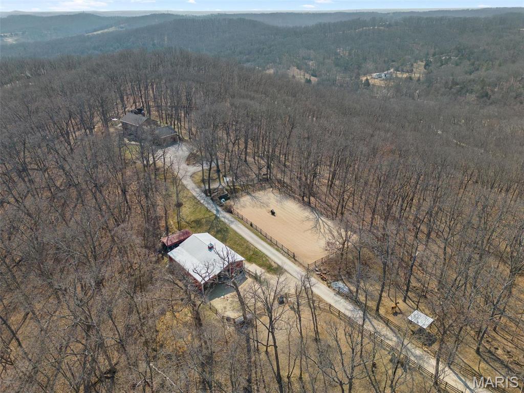 Clarissa A Burt and Chateau Forest - Residential