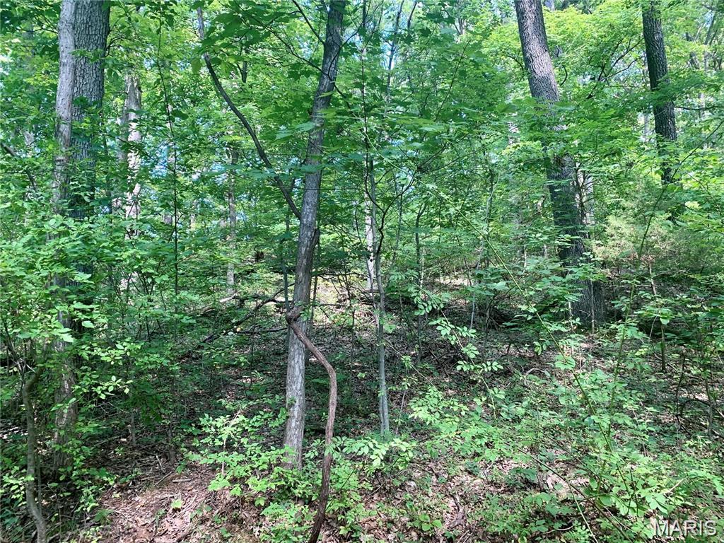 NEW PRICE!!!  One of 3 Adjoining Lots for Sale in Dogwood Acres.  Heavily wooded and perfect for Building your Custom Dream Home or Private Getaway.   Paved Roads.  Nearby Public Utilities.  Easy access to New Hwy 21.  Minutes from Arnold or Fenton. Rock Creek Sewer and Water District (C-1). Property backs to Greenwood Acres. Fox C-6 Schools!