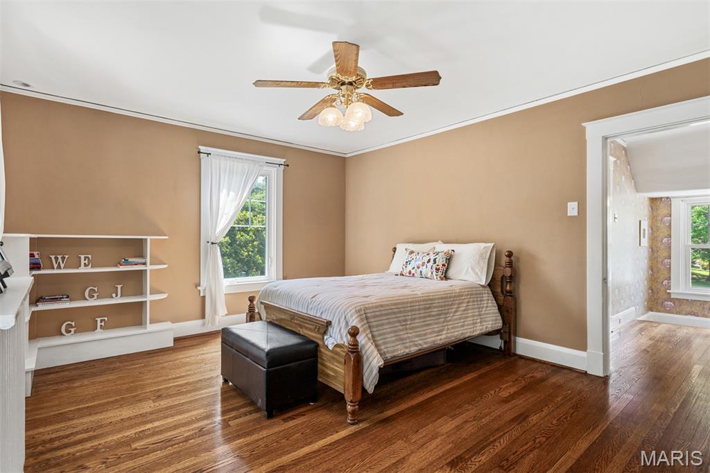 Webster Park - Residential