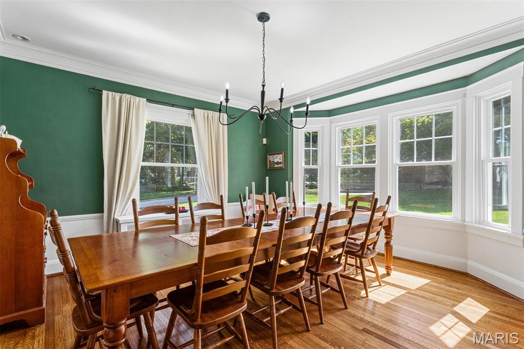 Webster Park - Residential