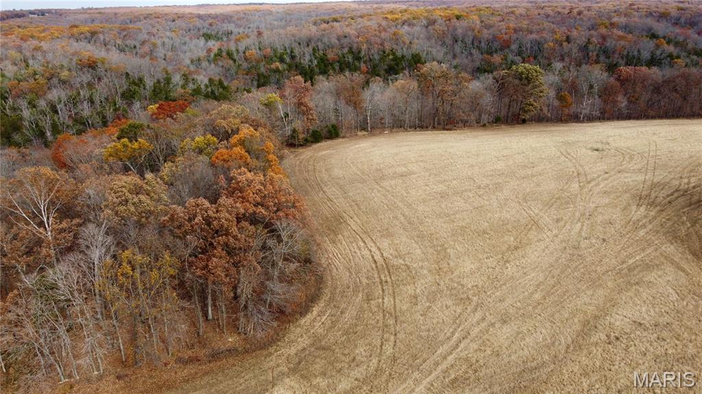 Tract 5

Multiple tracts available ranging from 22-40 acres. You can buy one or combine multiple tracts! Finding the right property to build your dream home has many factors with location being a top one. The privacy of this property gets you away for the serenity you dream of but still within 30 minutes to Washington, Wentzville or Warrenton, MO. 

The location of Polston Farms is incredible but the views are hard to beat as well. With a newly constructed road onto the farm that leads you to the 12 lots of many different sizes. Each tract has its own unique attributes but they all have one thing in common, seclusion! Each lot has electric and are build ready if you decide to do so. Minimum restrictions along with a road agreement. Don't miss out on your chance to own one of these tracts to build or just to getaway!