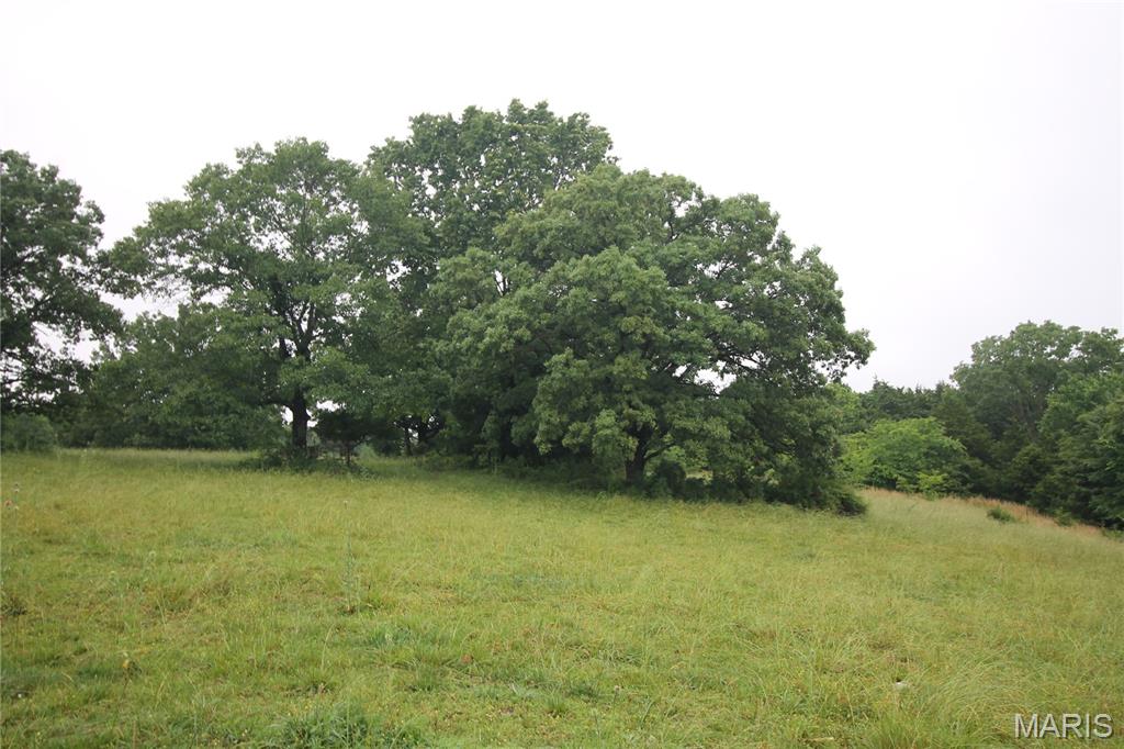 None - Farm