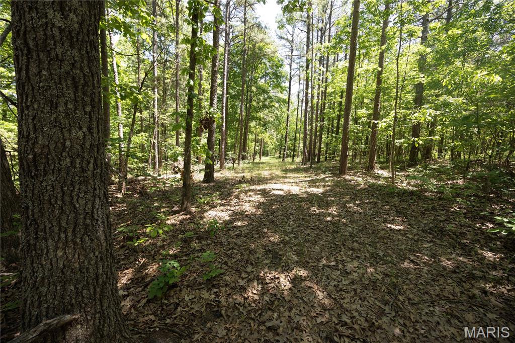 Located in Bollinger County near the Perry County line, this versatile property offers the perfect blend of recreation, privacy, and future building potential. Whether you’re searching for a hunting retreat, weekend getaway, or the ideal location to build your dream home, this tract has plenty to offer.

The property features a recently built, accessible trail system that provides easy access throughout the land for exploring, ATV riding, hiking, or maintaining food plots. Electric service has already been added along the county road, giving each tract access to utilities and making future cabin or home construction even more convenient.

With abundant deer and turkey populations, outdoor enthusiasts will appreciate the excellent hunting and recreational opportunities this property provides. The peaceful setting and beautiful landscape also make it an outstanding potential homesite with room to enjoy country living at its best.

A survey will be completed to determine the final exact acreage of each tract, giving buyers added confidence in their investment.

If you’ve been looking for a property with great access, utilities, wildlife, and excellent home-building potential, this one deserves a look!