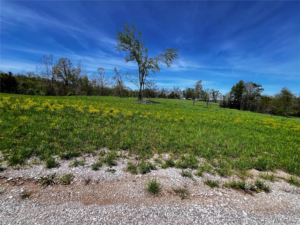 Legacy Lane - Land