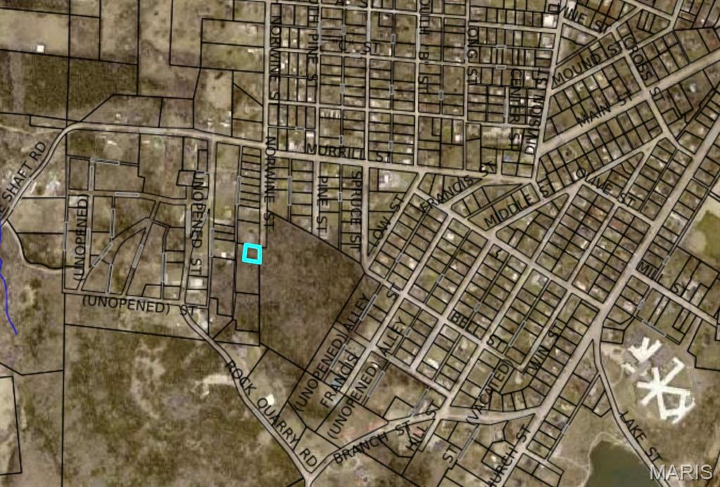 Tucked away at the end of S. Norwine Street, this wooded residential lot offers a rare opportunity for privacy within the city of Bonne Terre. Situated at a dead-end location, the property is surrounded by mature trees in nearly every direction, creating a secluded setting that feels removed from the surrounding area while still being conveniently located near town.

The 0.22 acre parcel provides a quiet backdrop for a future home site with natural wooded surroundings and minimal through traffic. With wooded privacy on nearly all sides and limited neighboring visibility except to the north, the lot offers a peaceful environment for those seeking a more private residential setting.

Located within the North St. Francois County School District and just minutes from Bonne Terre amenities, this property offers an affordable opportunity to build or invest in a quiet corner of the community.