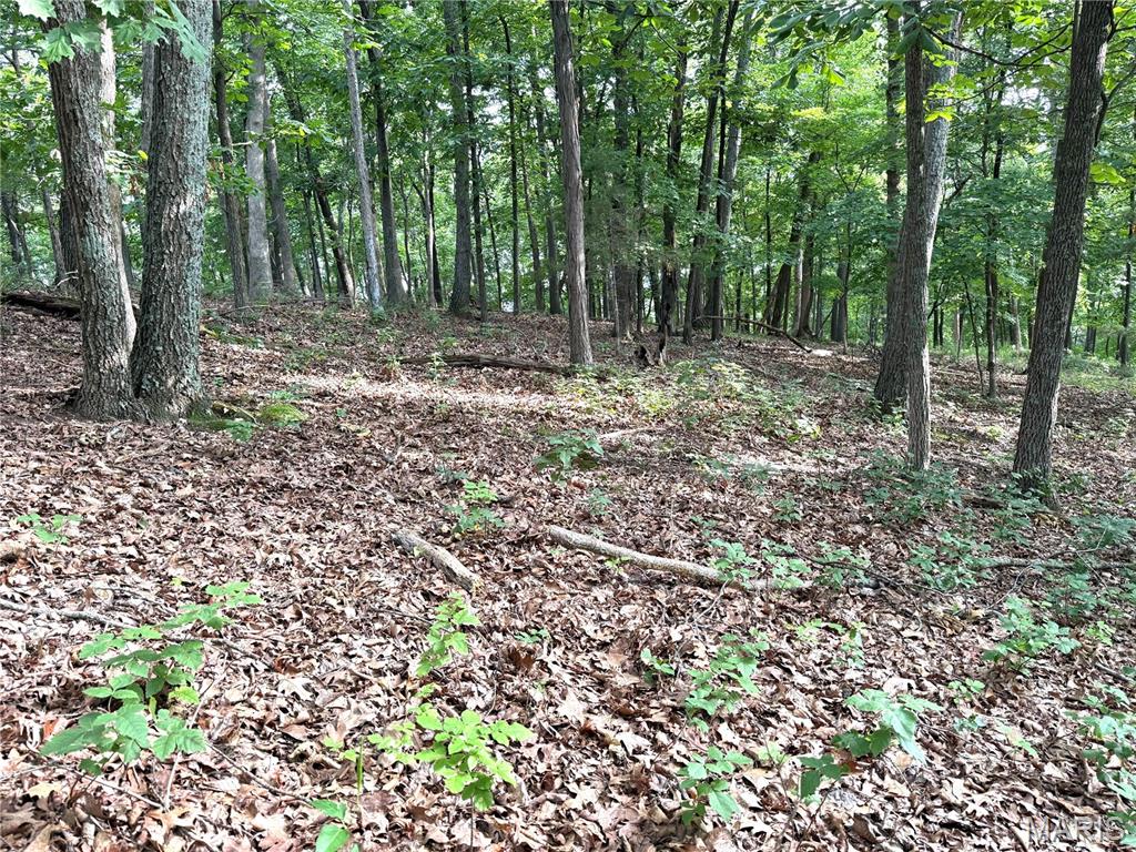 This exceptional 3.1-acre residential building lot offers a rare opportunity to create your private dream home in the highly desirable Hidden Valley Forest subdivision.  This is the last remaining lot in this low-density neighborhood characterized by custom executive homes on expansive wooded estates.  This building site is at the highest point in the subdivision and offers a very gently sloped building site.  No really, the building site is nearly perfectly flat.....it's very rare in this area.  Electricity and Spire Gas is in the subdivision.  The gently rolling terrain is beautifully wooded with mature hardwoods and evergreens, providing abundant privacy, natural beauty, and a serene woodland setting.  The lot features natural drainage and topography well-suited for a variety of home designs, including walk-out lower levels that can take full advantage of the lot shape.  Residents enjoy easy access to the renowned Hidden Valley Ski Resort, just minutes away, offering year-round recreation including winter skiing, snowboarding, and tubing, plus summer activities. The location provides convenient proximity to Six Flags St. Louis, Purina Farms, historic downtown Eureka with its shops and dining, and excellent Rockwood School District schools.  Signage on site, park on culdesac and enjoy an easy walk to the building site.  Minimum building sizes are 2,000 sf for Ranches, 2,400 sf for 1.5 Story's, and 2,800 sf for 2 Story's.