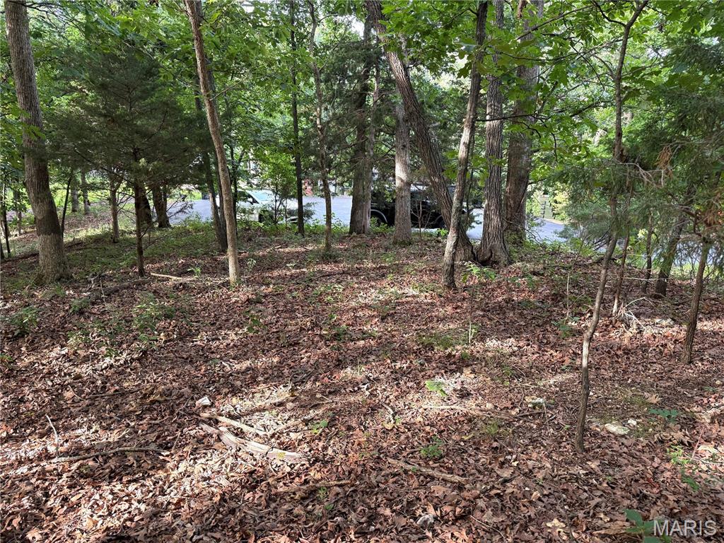 Hidden Valley Forest - Land