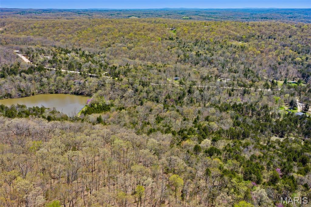 Big Woods - Land