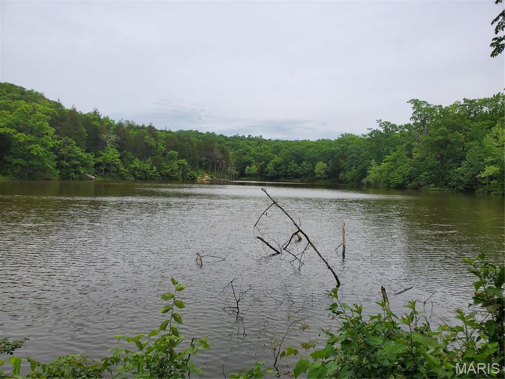 Big Woods - Land