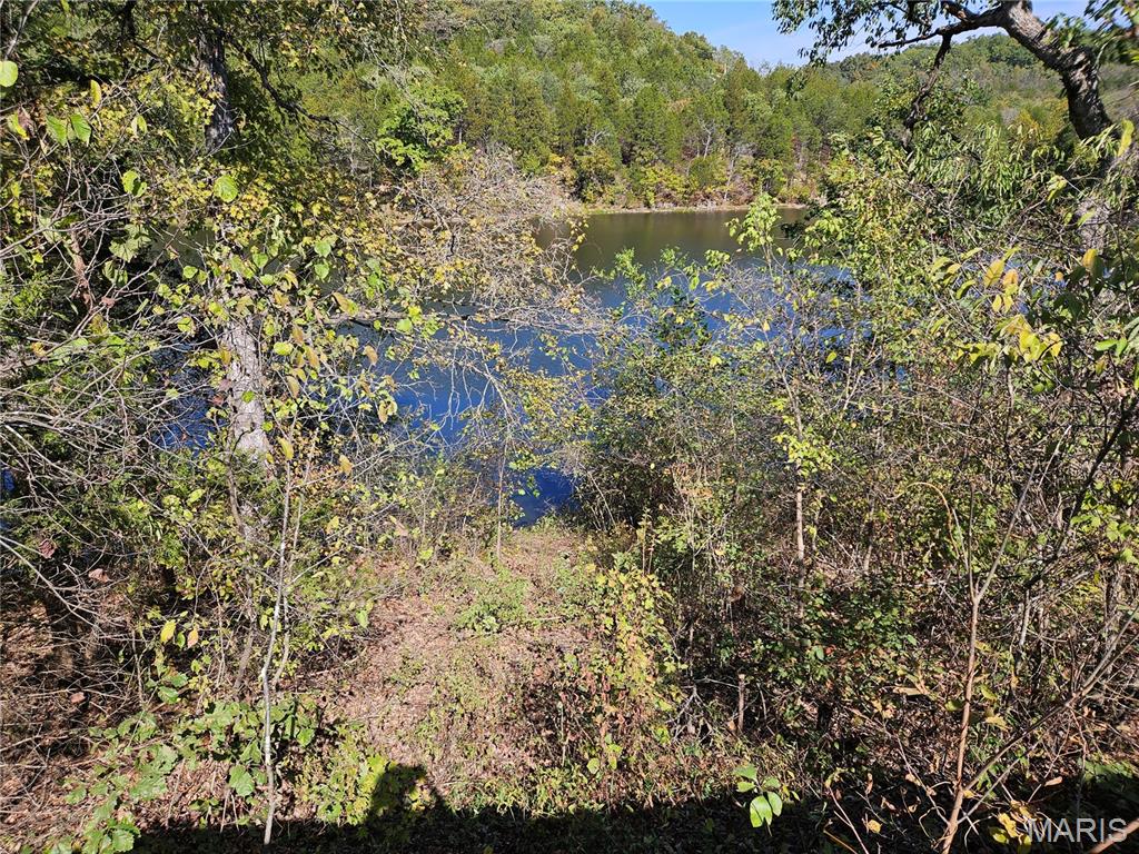 Beautiful acreage with lake access waiting for you to build your dream home! Breathtaking lake views and spacious wooded areas for outdoor recreation. You'll love the peaceful lake shared with only 2 other properties. Electric, well and septic on site. This sale includes 2 tax IDs, 24-8.0-28.0-0-000-020 and 24-9.1-29.0-0-000-001. Please include both on contract.