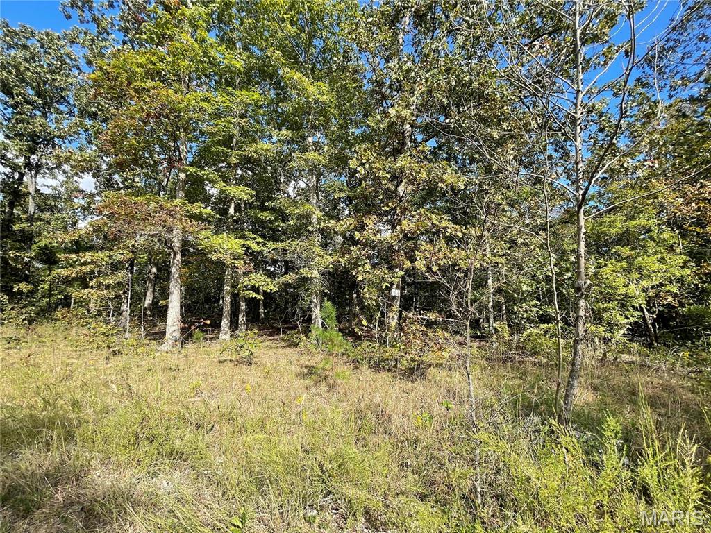Woodland Heights - Land