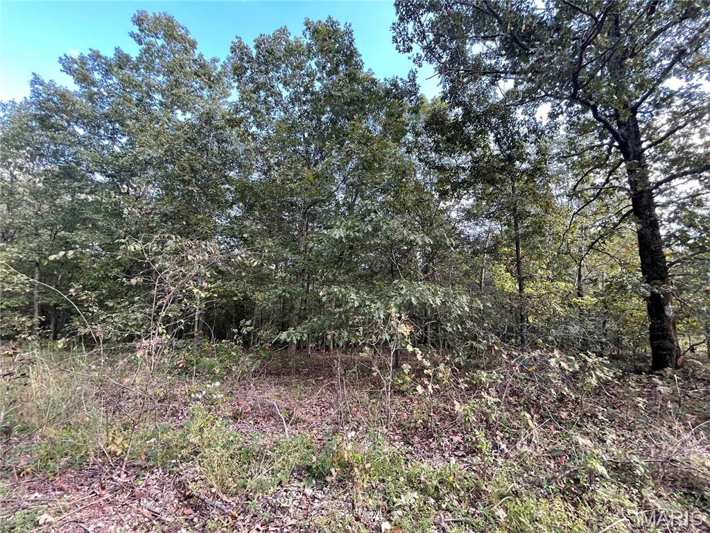 Woodland Heights - Land