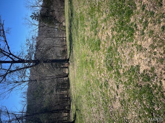 Big Woods - Land