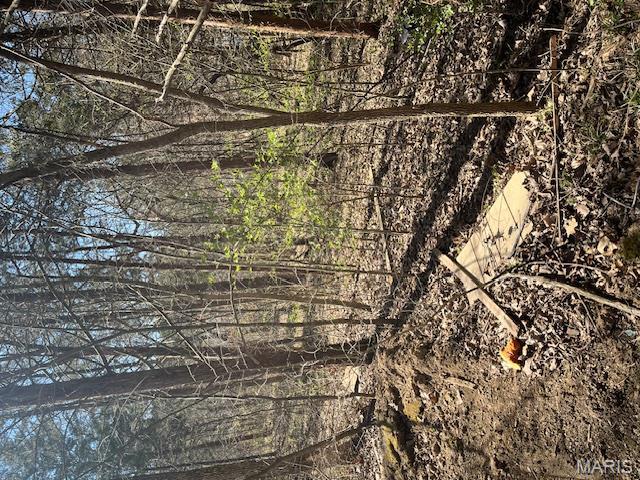 Big Woods - Land