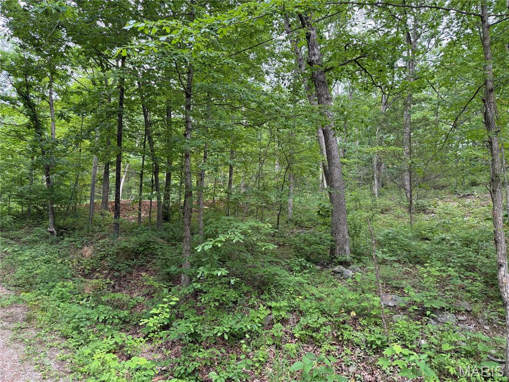 Are you craving a weekend escape from the hustle and bustle of city life? Or maybe you're an avid angler in search of the perfect fishing spot? Look no further! The thirty + acre lake at Snow Hollow Lake and its surrounding area offer an abundance of options to suit your needs.  


Owner willing to build to suit for an additional fee. Additional Rooms: Other
