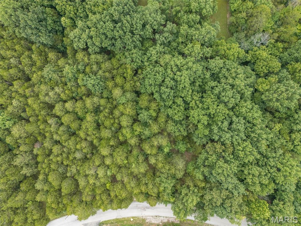 Raintree Plantation Sec 19 - Land
