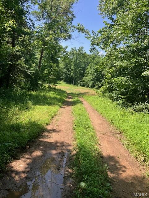 This nearly 17 acres has deeded gravel road access, and sits in a quaint valley only about a half mile from Mark Twain National Forest.
It's a hunting or homesteading paradise. Or use is simply as a great home or cabin or camping site.
You'll have a deeded access road to the property. This secluded valley oasis comes with NO restrictions.
Hunt, camp, build, ride ATVs on your own land, or just a short hike or drive and you'll be in the picturesque and pristine 22,176-acre section of Mark Twain National Forest ... public ground where you can also hunt, ride and explore. All this, and only about two miles a paved state road. 
Use this wooded, secluded property as a base camp for adventure or build your forever home and live out your days in secluded bliss. This and surrounding land is teeming with deer, turkey and small game, and the occasional feral hog or maybe a black bear. There is additional acres available which adjoin this piece if interested.