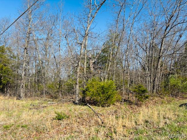 Indian Hills Lake - Land
