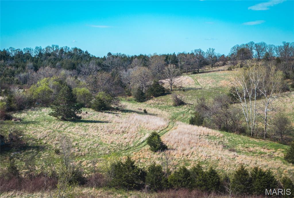 Discover the perfect blend of seclusion, recreation, and comfort on this exceptional 80± acre tract in Maries County, just north of Rolla, Missouri. This property is a true outdoorsman’s dream, offering outstanding deer and turkey hunting with a mix of timber, natural cover, and ideal wildlife habitat. With some land management and a few food plots put in, this would be a dandy.
Two natural springs provide a reliable year-round water source, enhancing both the land’s beauty and its appeal to wildlife. Tucked into the property is a cabin that’s perfectly suited as a weekend getaway or a full-time residence. Whether you’re looking for a hunting retreat, a private escape, or a place to call home in the country, this cabin offers comfort and convenience in a peaceful setting.
With its great location, abundant wildlife, and versatile potential, this property is a rare find. Opportunities like this don’t come along often—come experience it for yourself.
